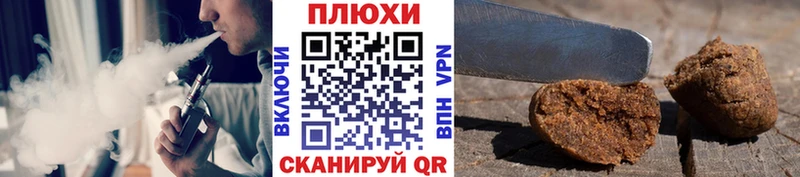 OMG tor  Зея  ГАШ гашик 