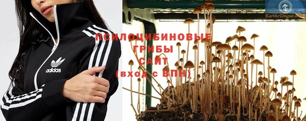 винт Алексеевка