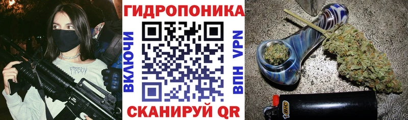 Конопля Ganja  Зея 